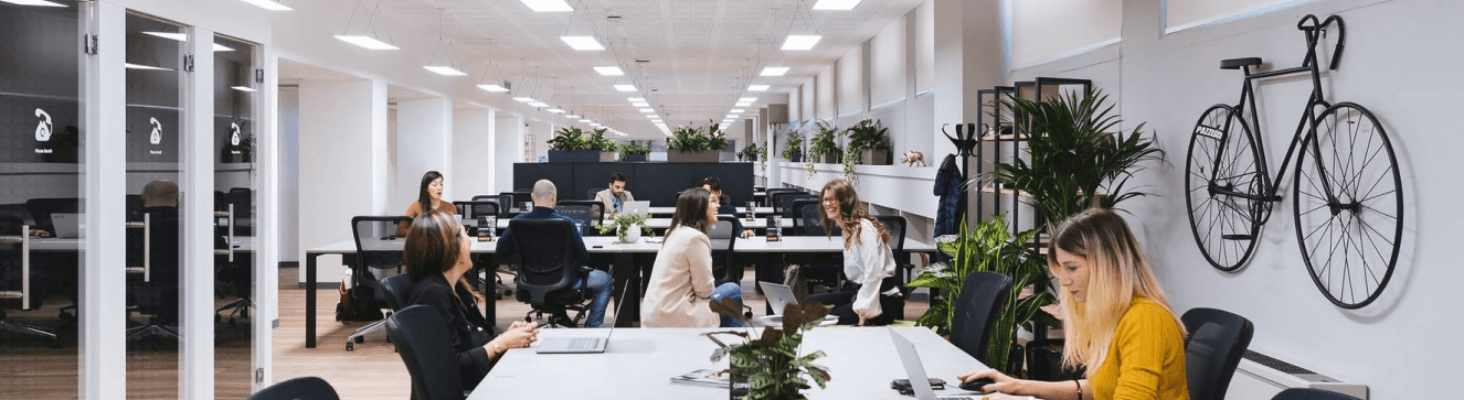 Vebego Cleaning Services